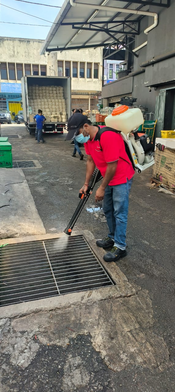 Drain larvicide treatment