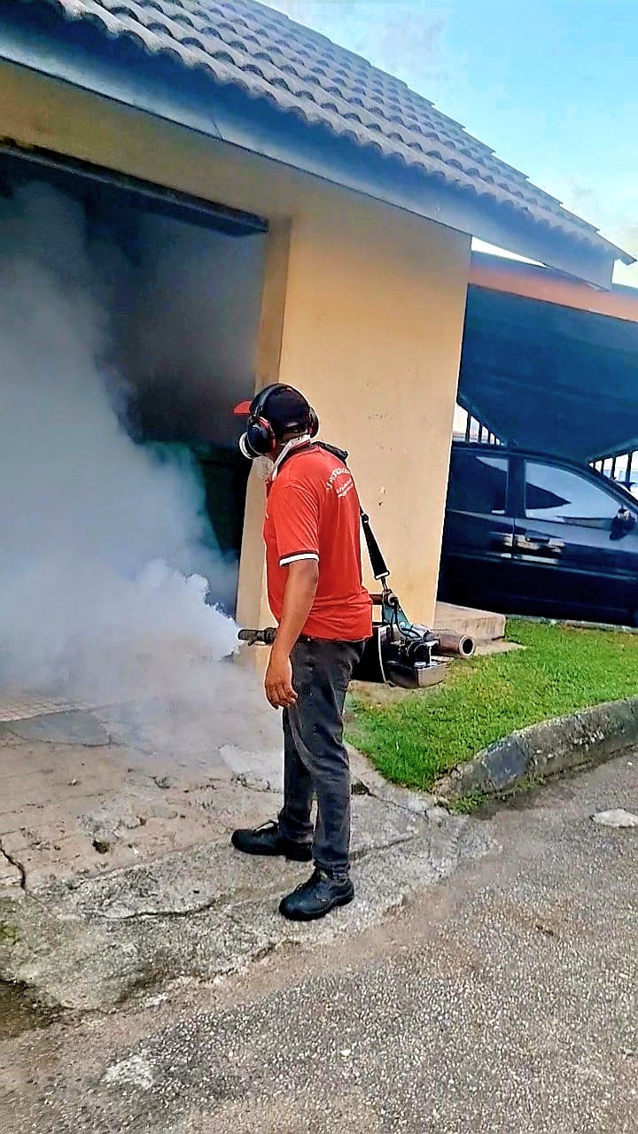 Thermal fogging treatment
