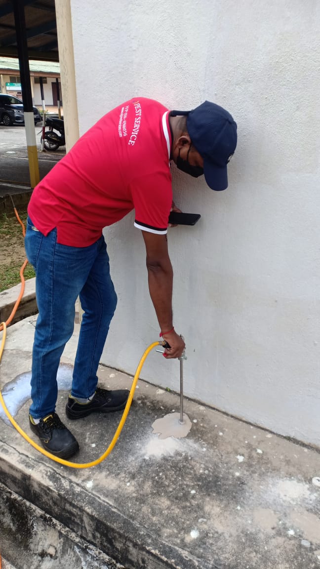 Termite soil injection treatment